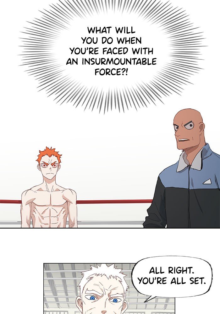 Read The Boxer EN Manga Online