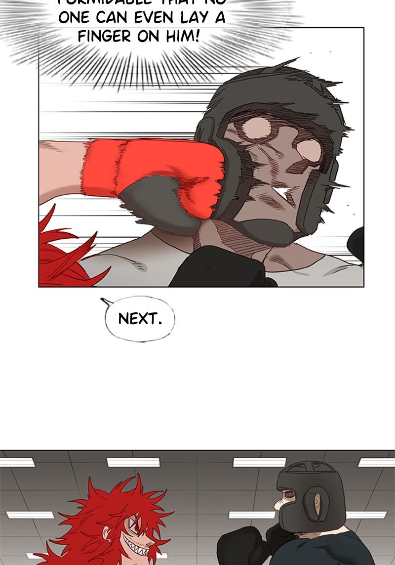 Read The Boxer EN Manga Online