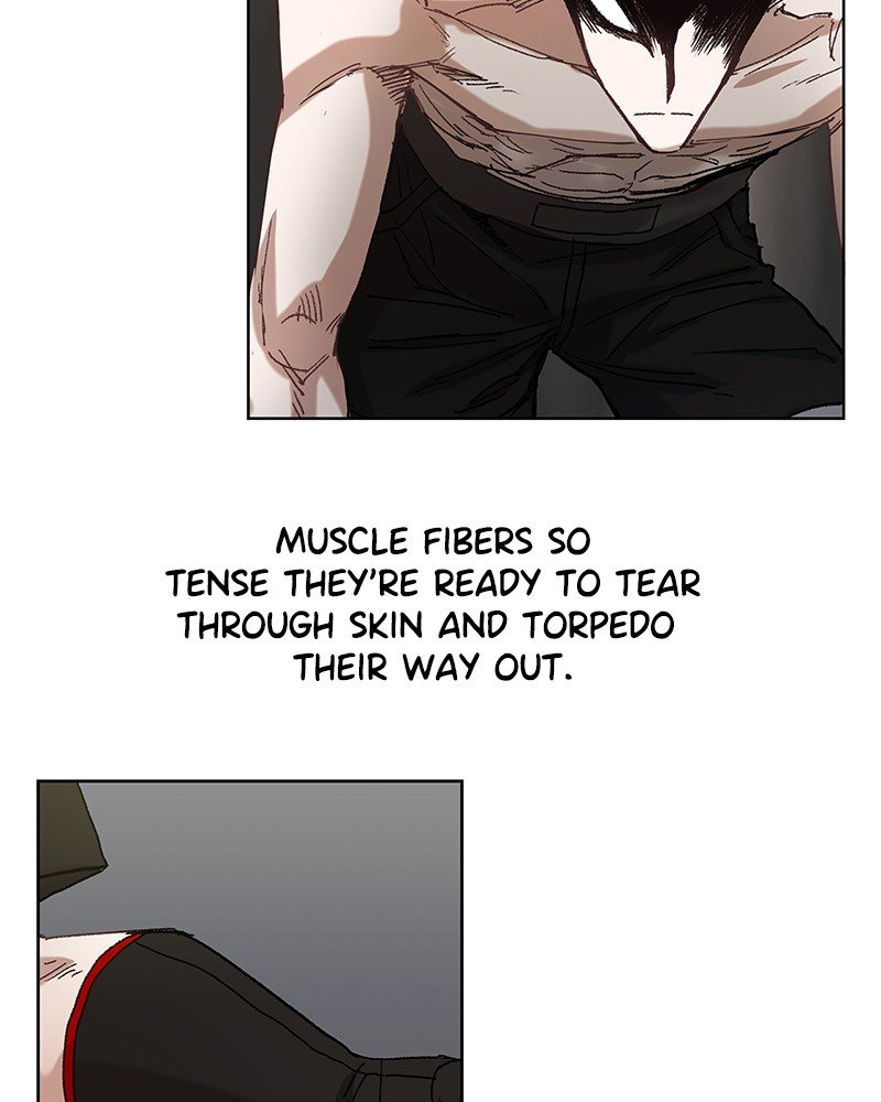 Read The Boxer EN Manga Online