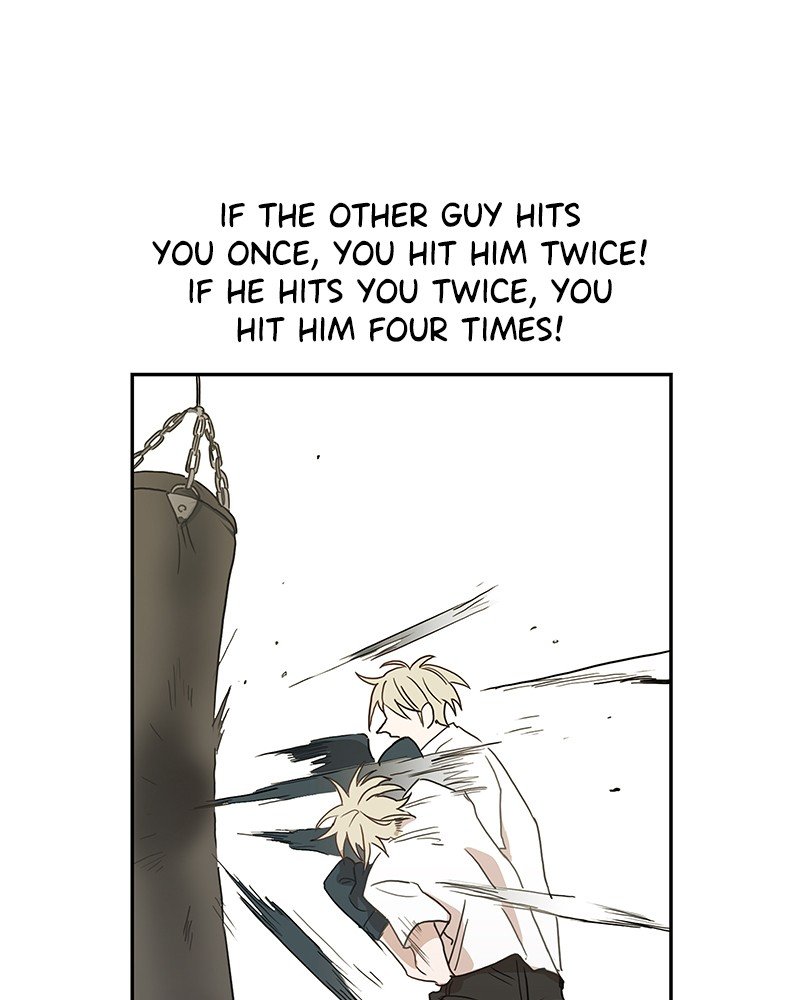 Read The Boxer EN Manga Online
