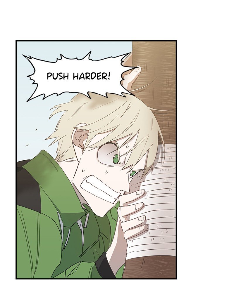 Read The Boxer EN Manga Online