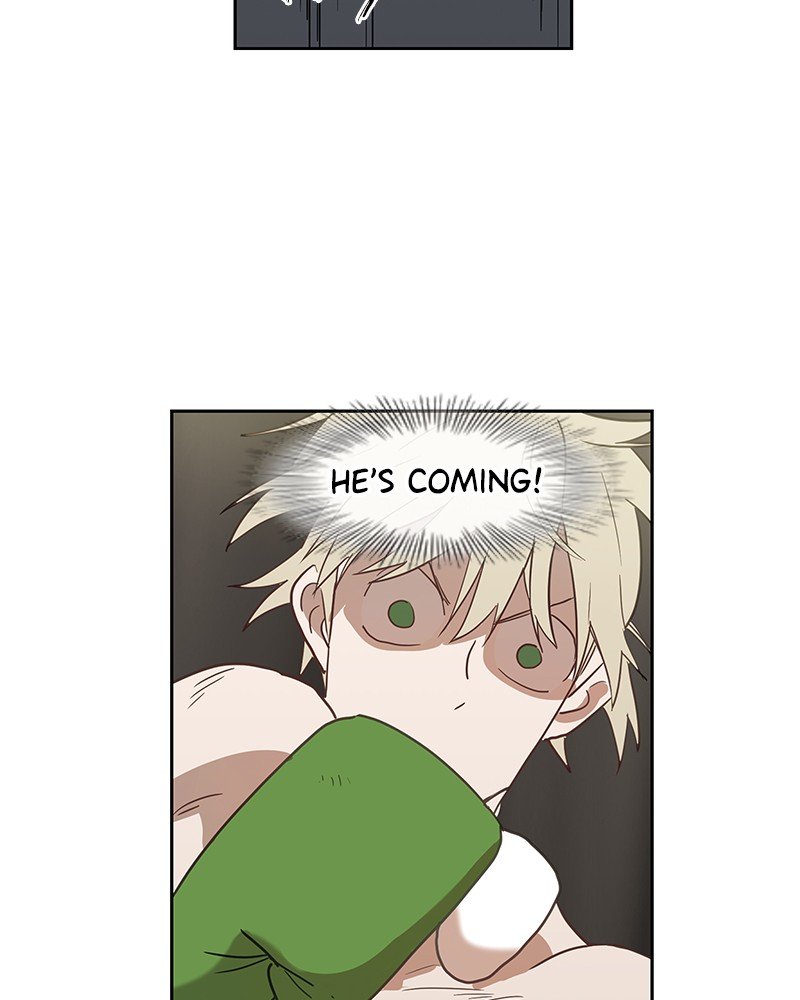 Read The Boxer EN Manga Online