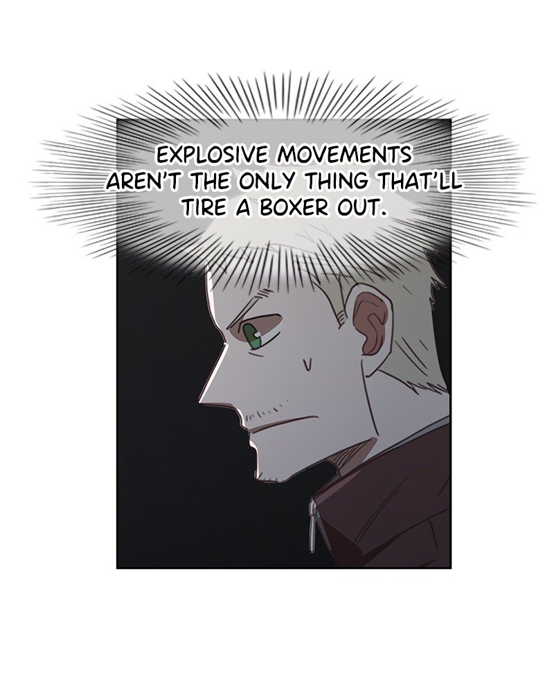 Read The Boxer EN Manga Online