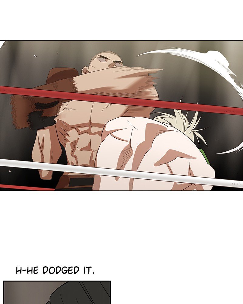 Read The Boxer EN Manga Online