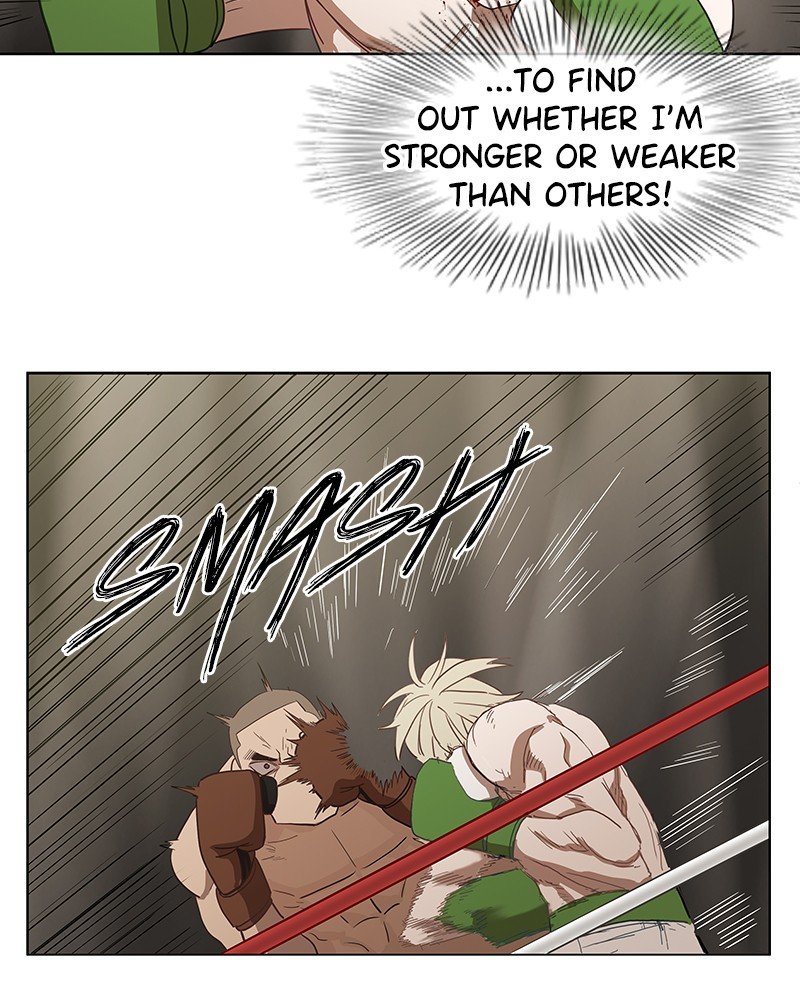 Read The Boxer EN Manga Online