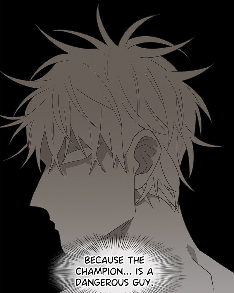 Read The Boxer EN Manga Online
