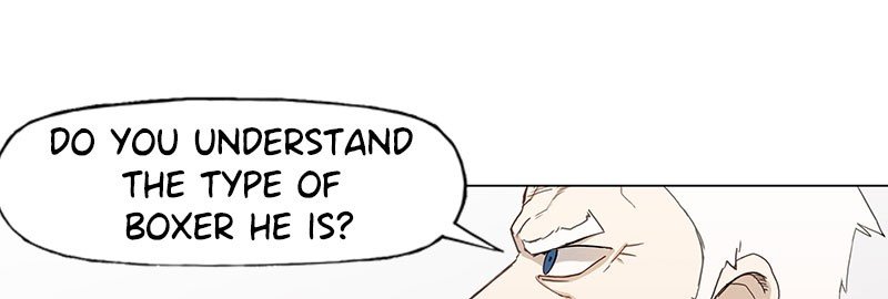Read The Boxer EN Manga Online