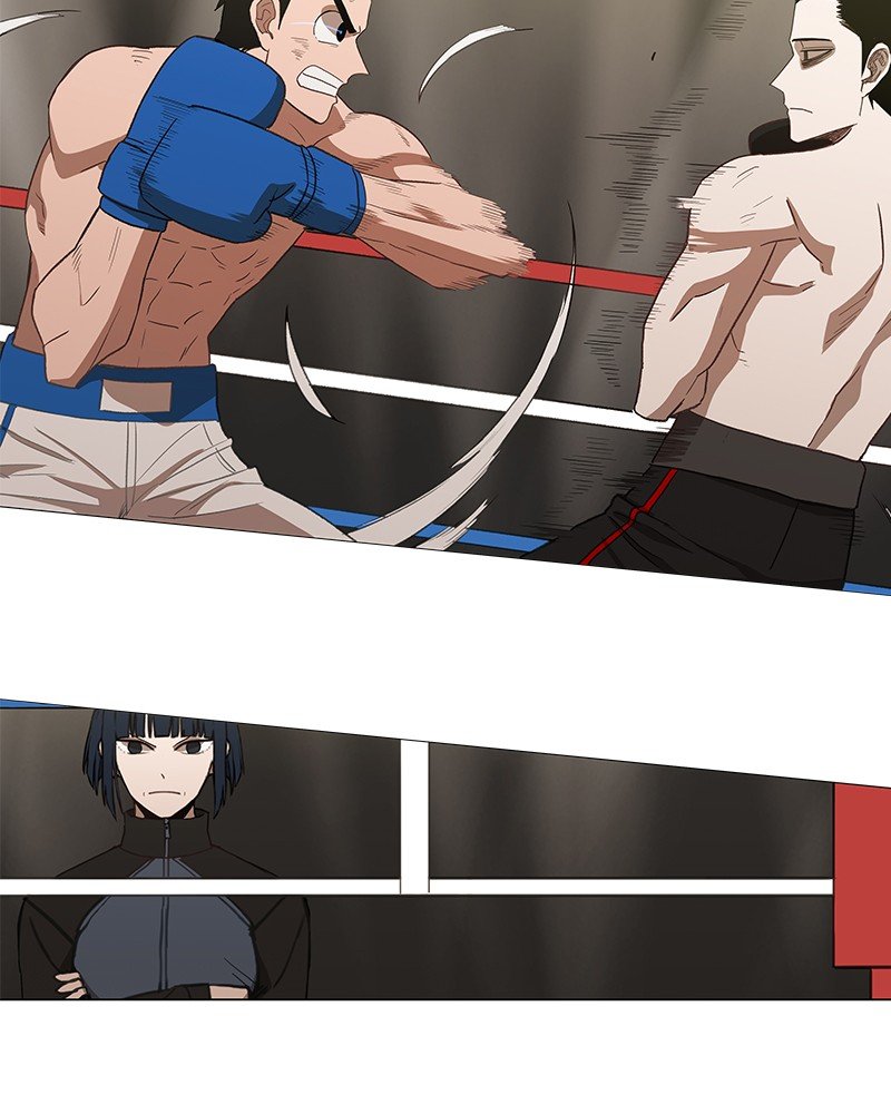 Read The Boxer EN Manga Online