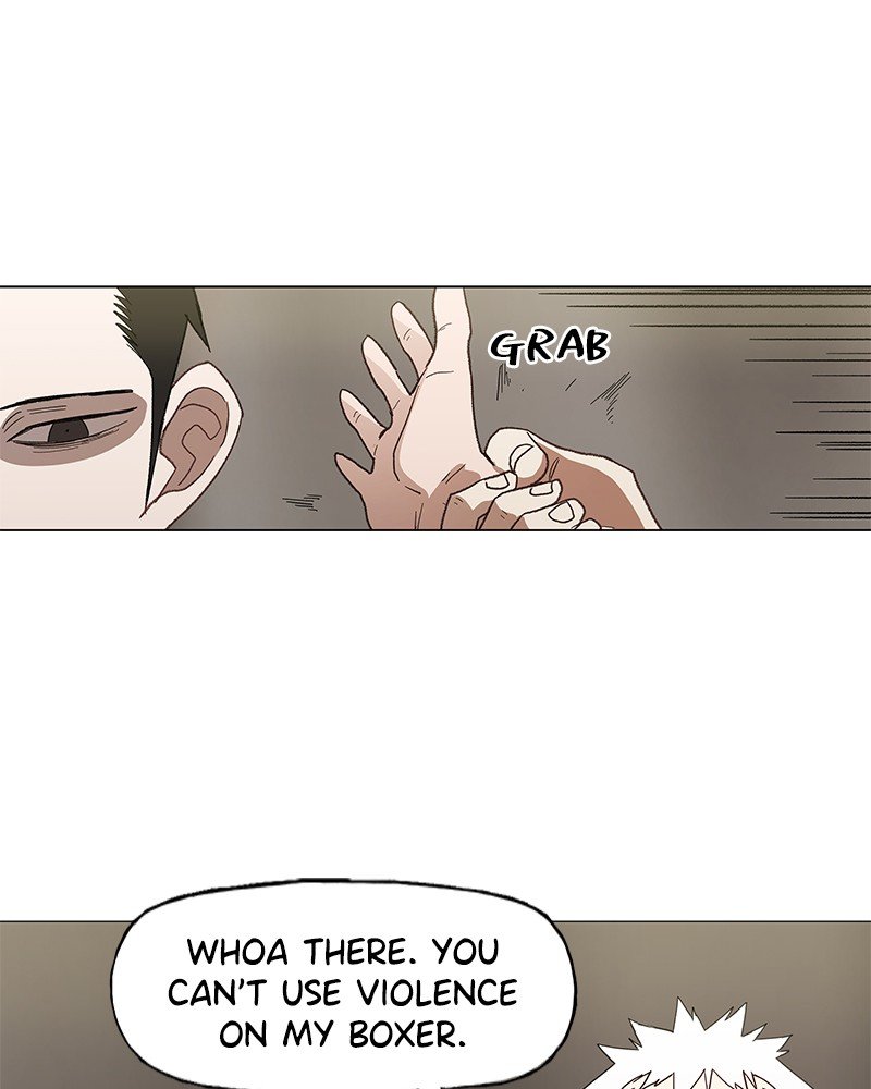 Read The Boxer EN Manga Online
