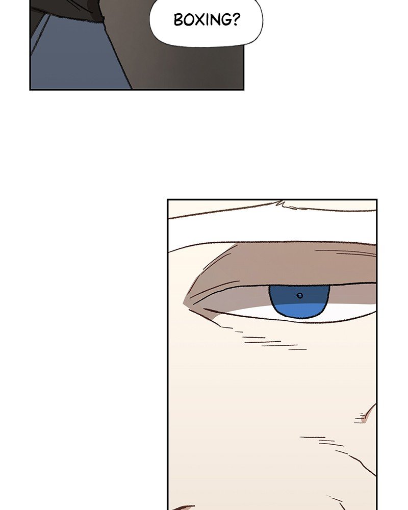 Read The Boxer EN Manga Online