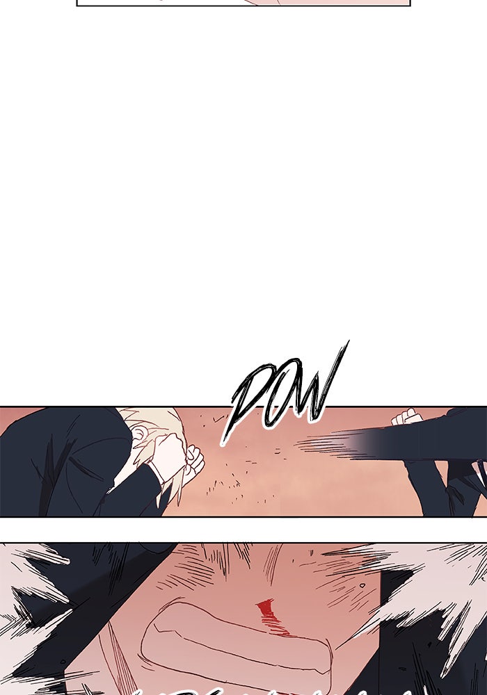 Read The Boxer EN Manga Online