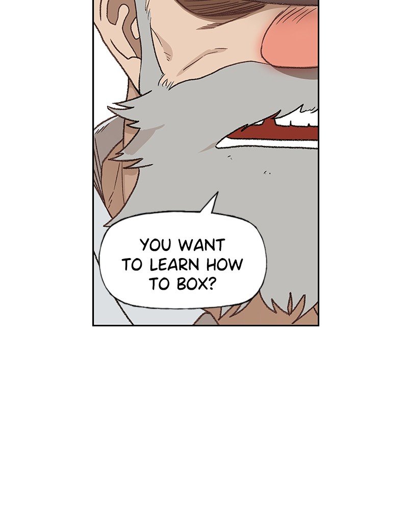 Read The Boxer EN Manga Online