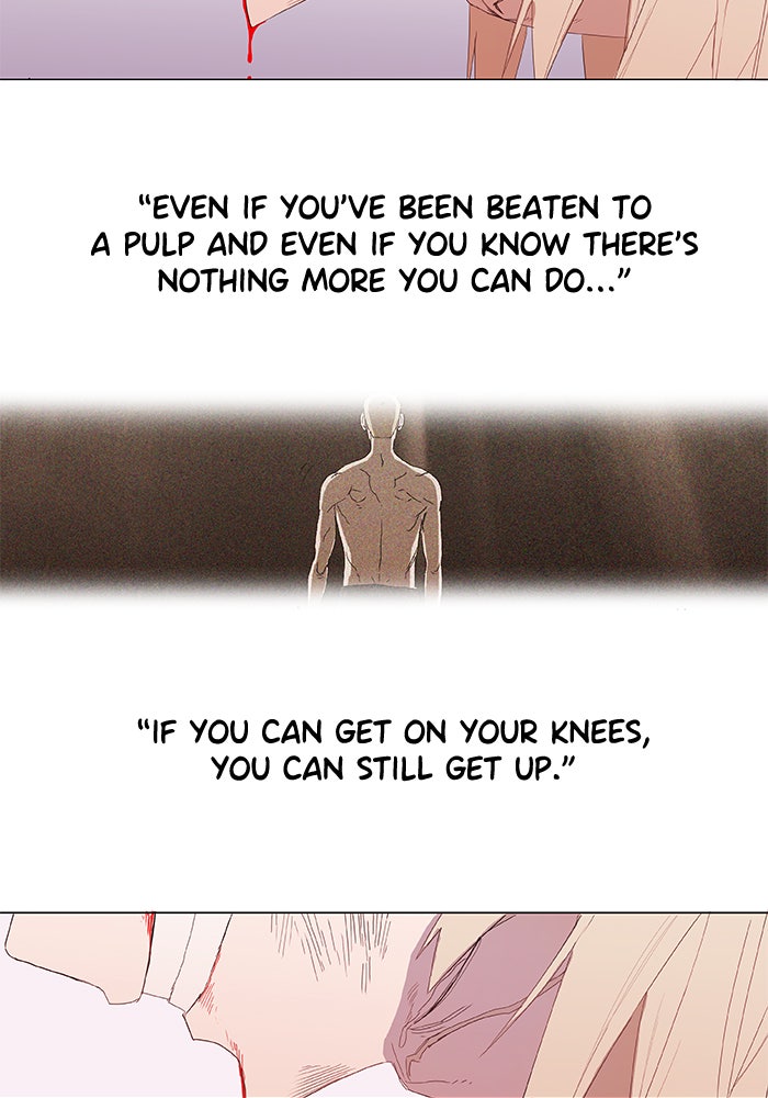 Read The Boxer EN Manga Online