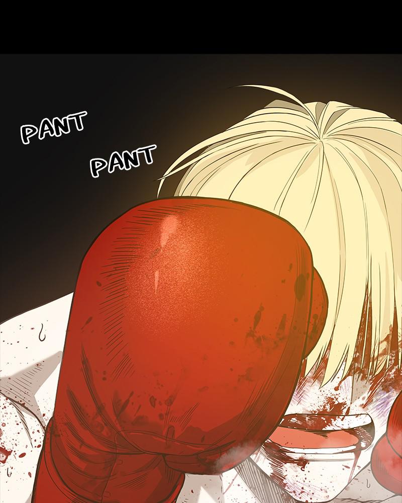 Read The Boxer EN Manga Online
