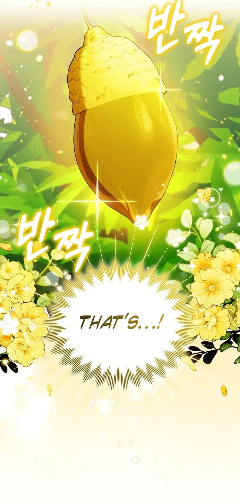 Read The Chick Class Hunter is Filial EN Manga Online