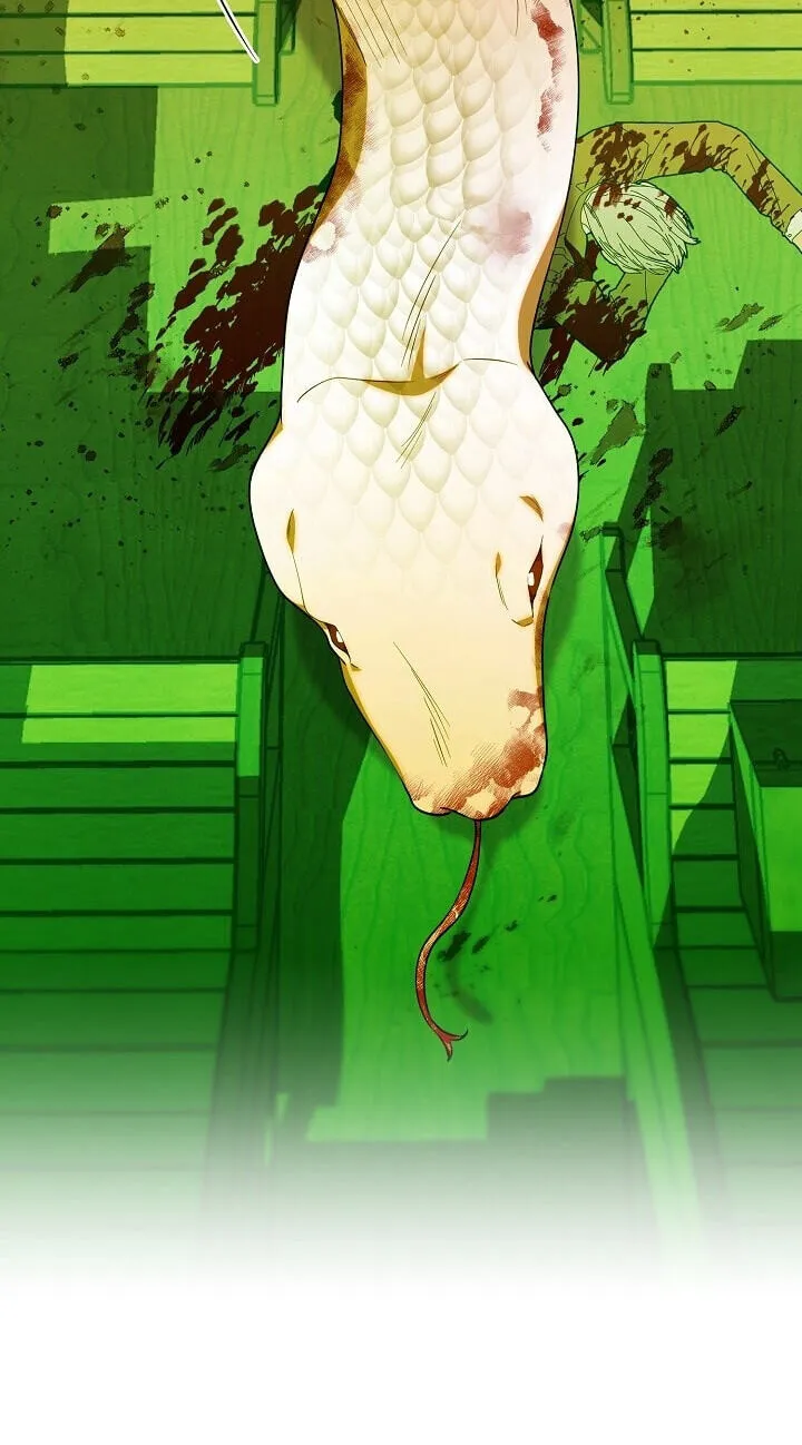 Read The Chick Class Hunter is Filial EN Manga Online