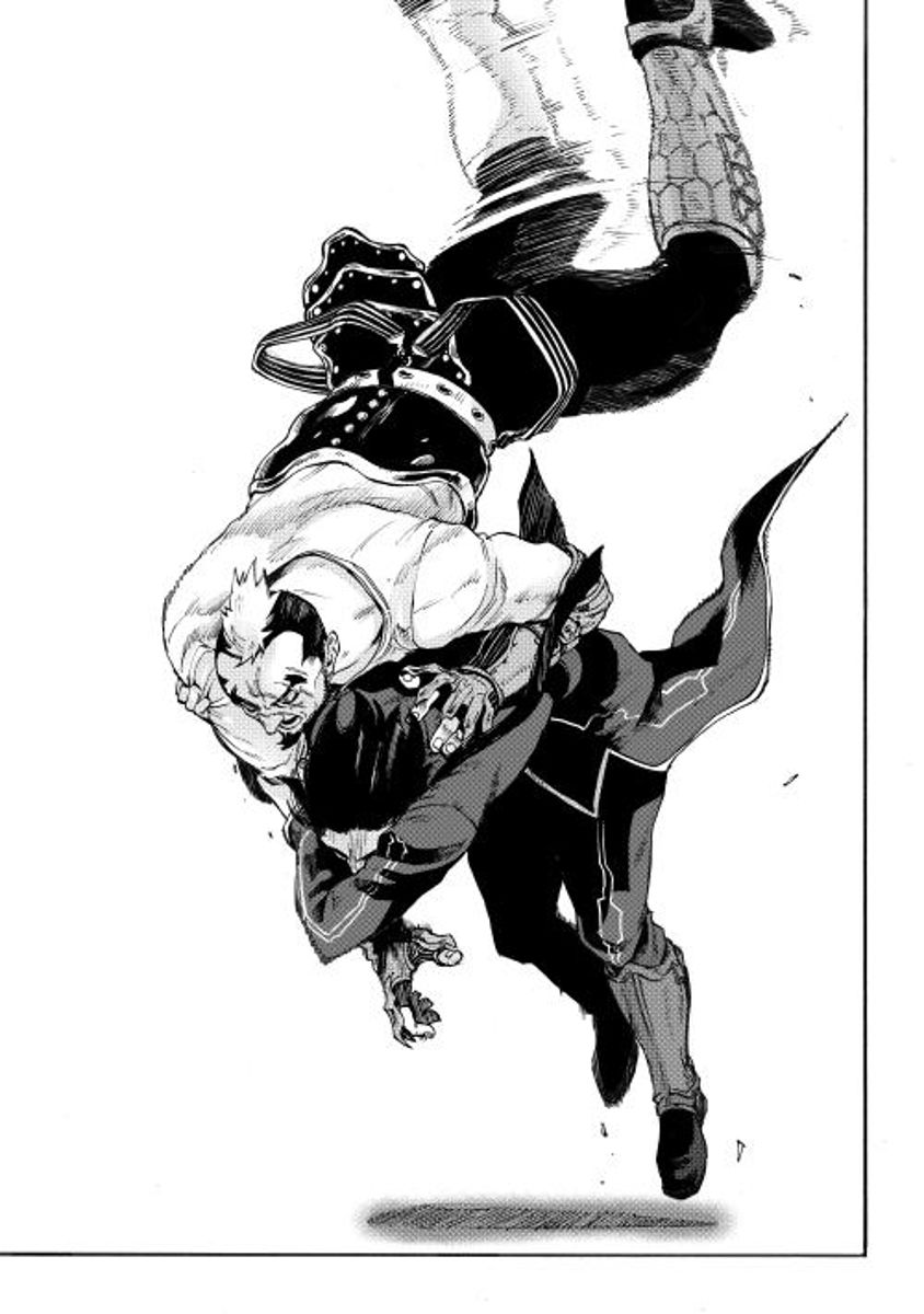 Read The New Gate EN Manga Online