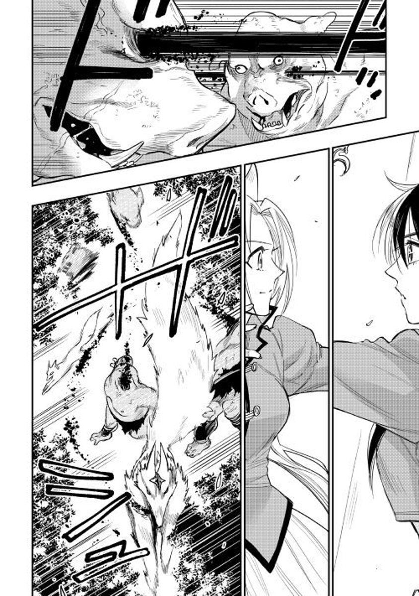Read The New Gate EN Manga Online