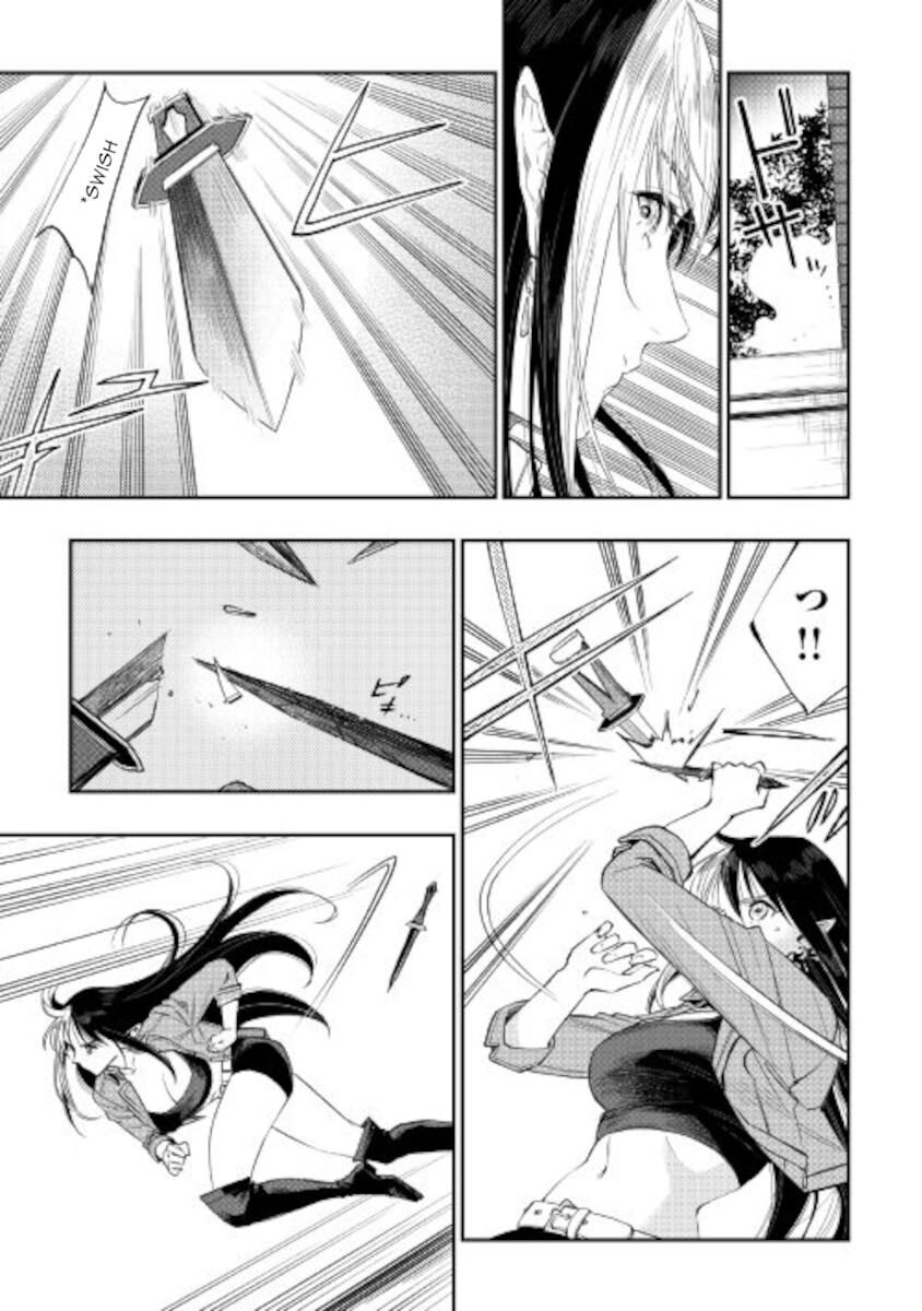 Read The New Gate EN Manga Online