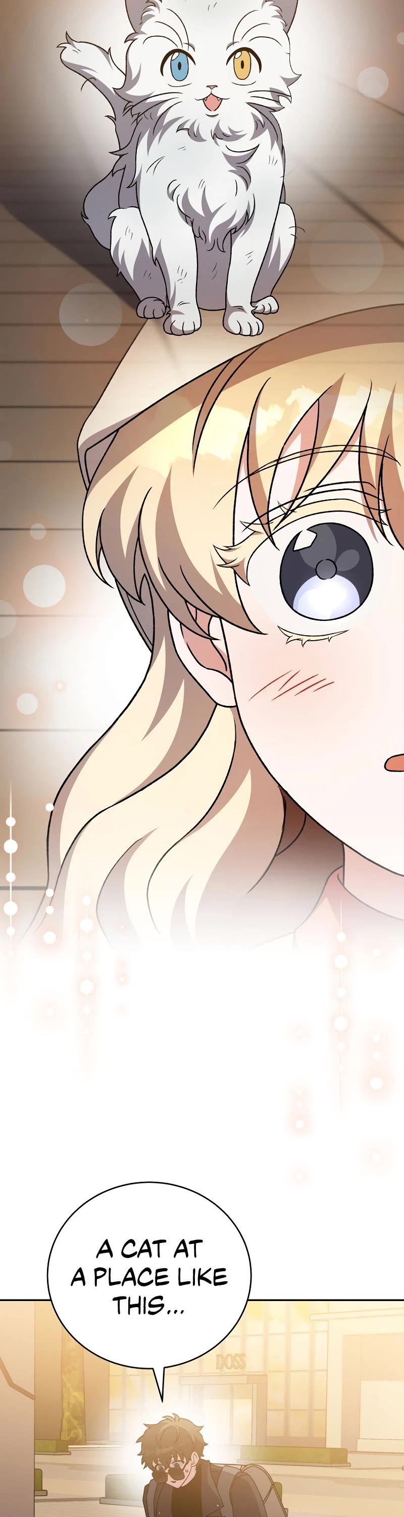 Read The Novel’s Extra EN Manga Online