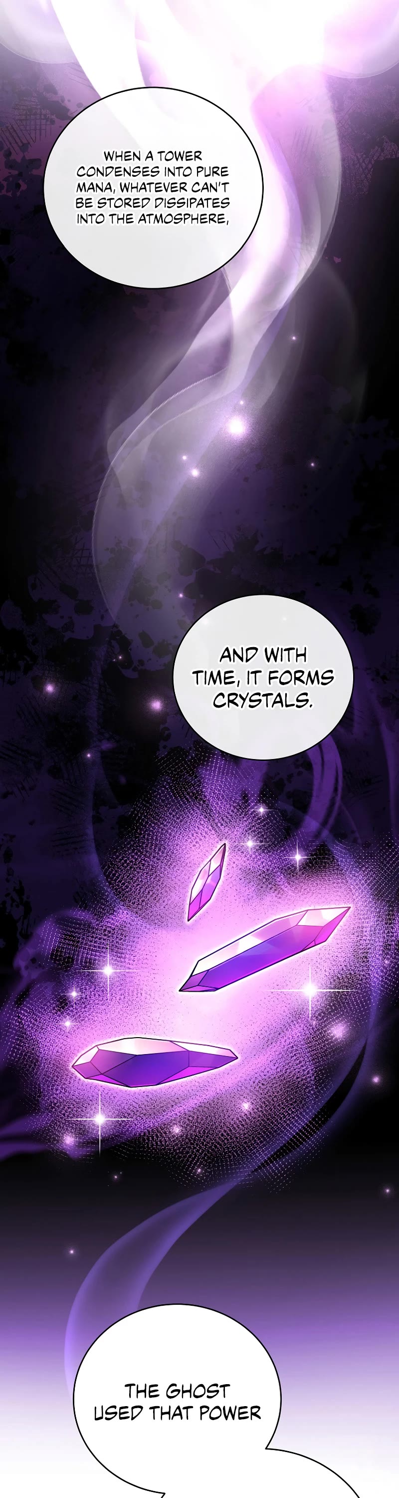 Read The Novel’s Extra EN Manga Online