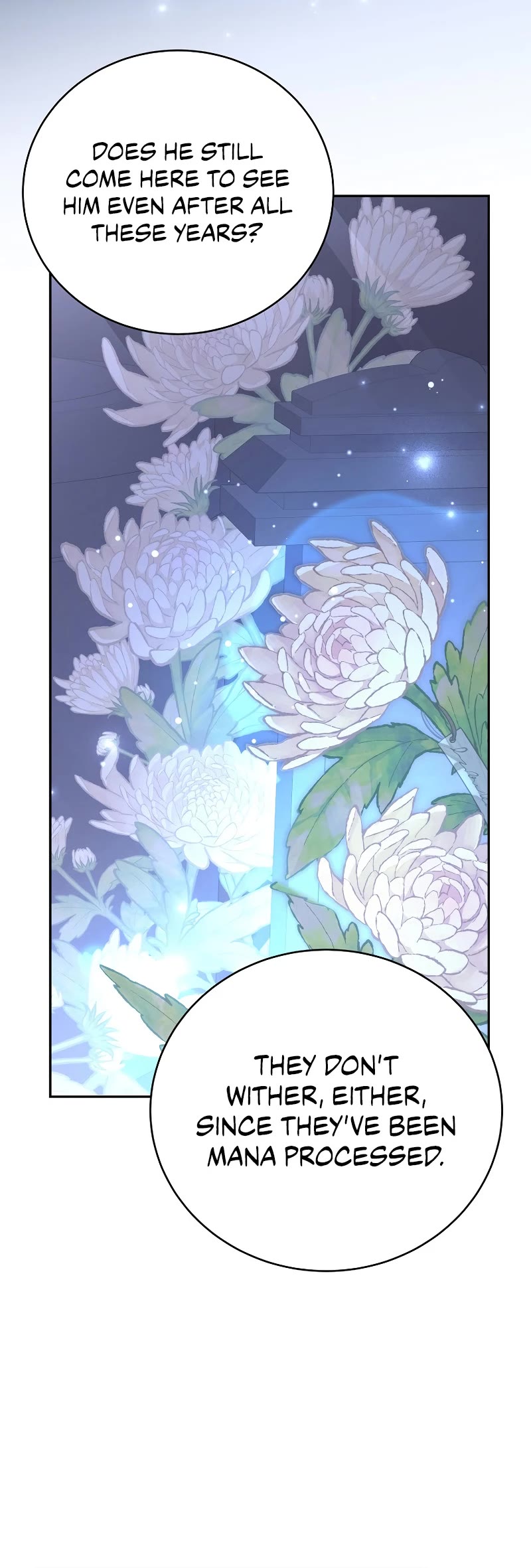 Read The Novel’s Extra EN Manga Online