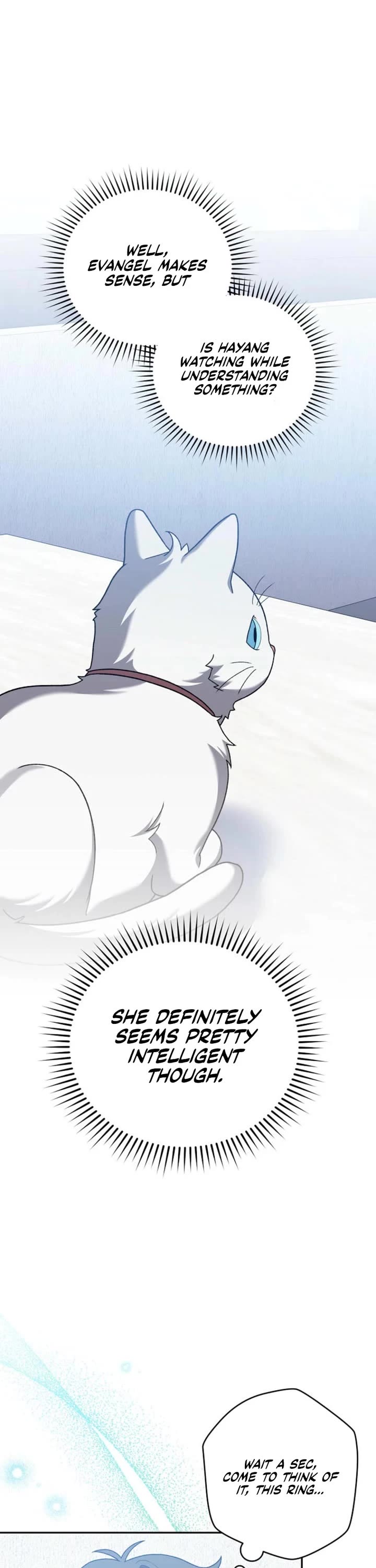 Read The Novel’s Extra EN Manga Online