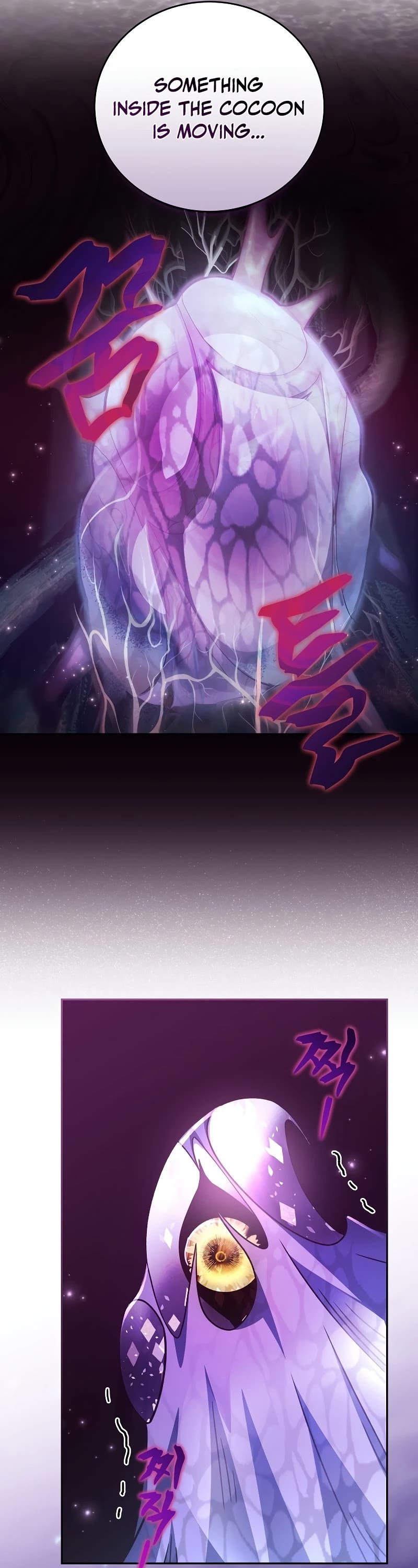 Read The Novel’s Extra EN Manga Online