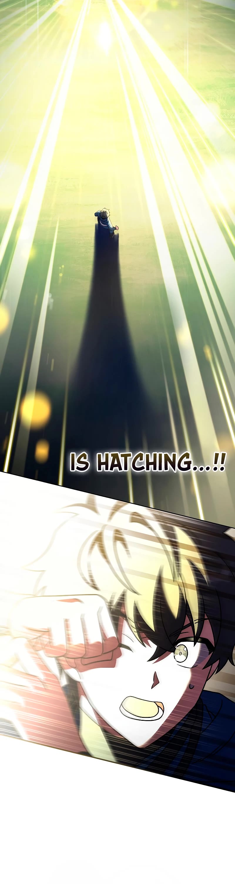Read The Novel’s Extra EN Manga Online
