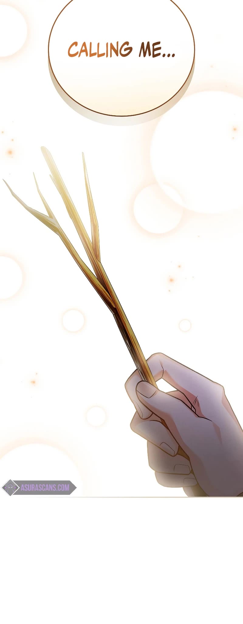 Read The Novel’s Extra EN Manga Online