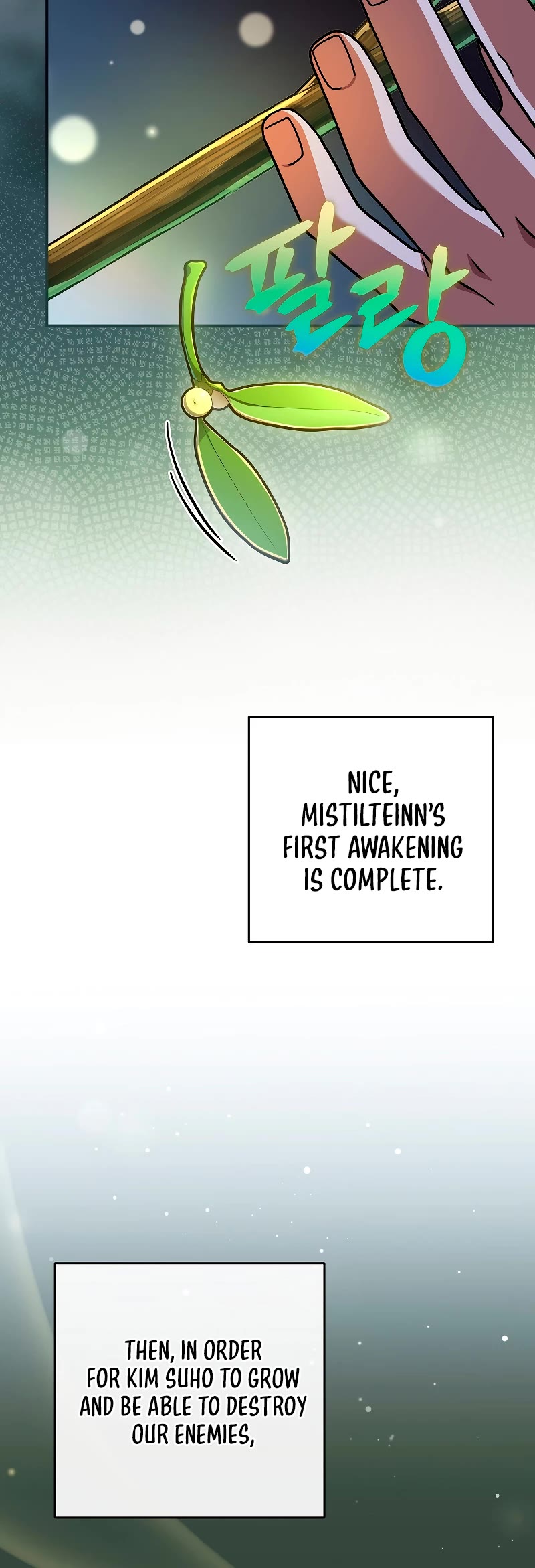 Read The Novel’s Extra EN Manga Online