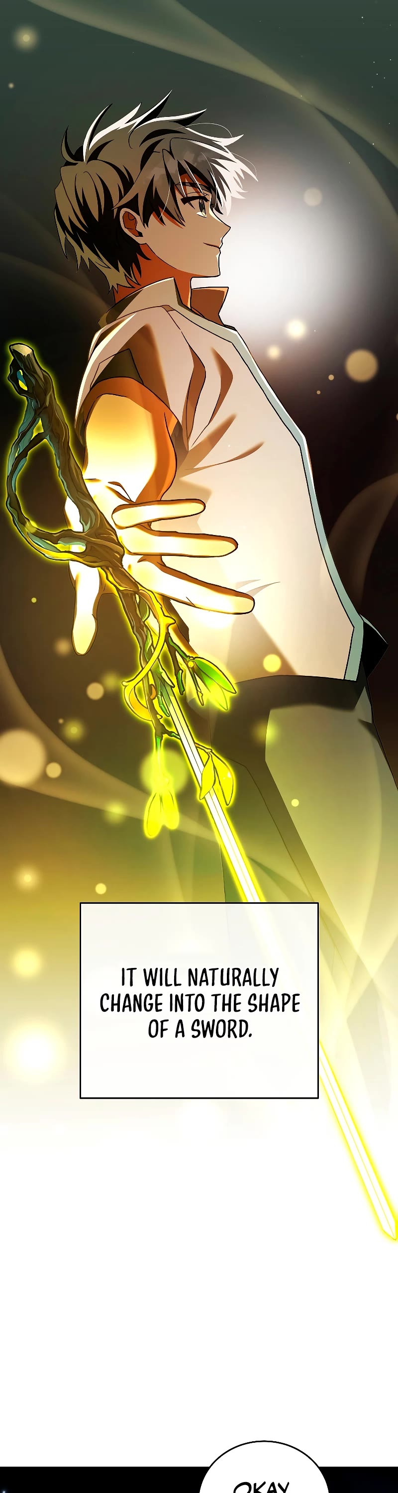 Read The Novel’s Extra EN Manga Online