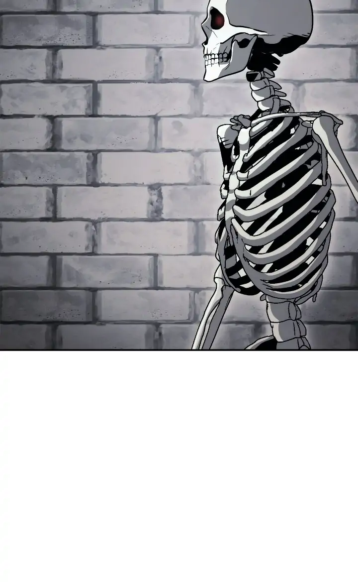 Read The Skeleton Soldier Failed to Defend the Dungeon EN Manga Online