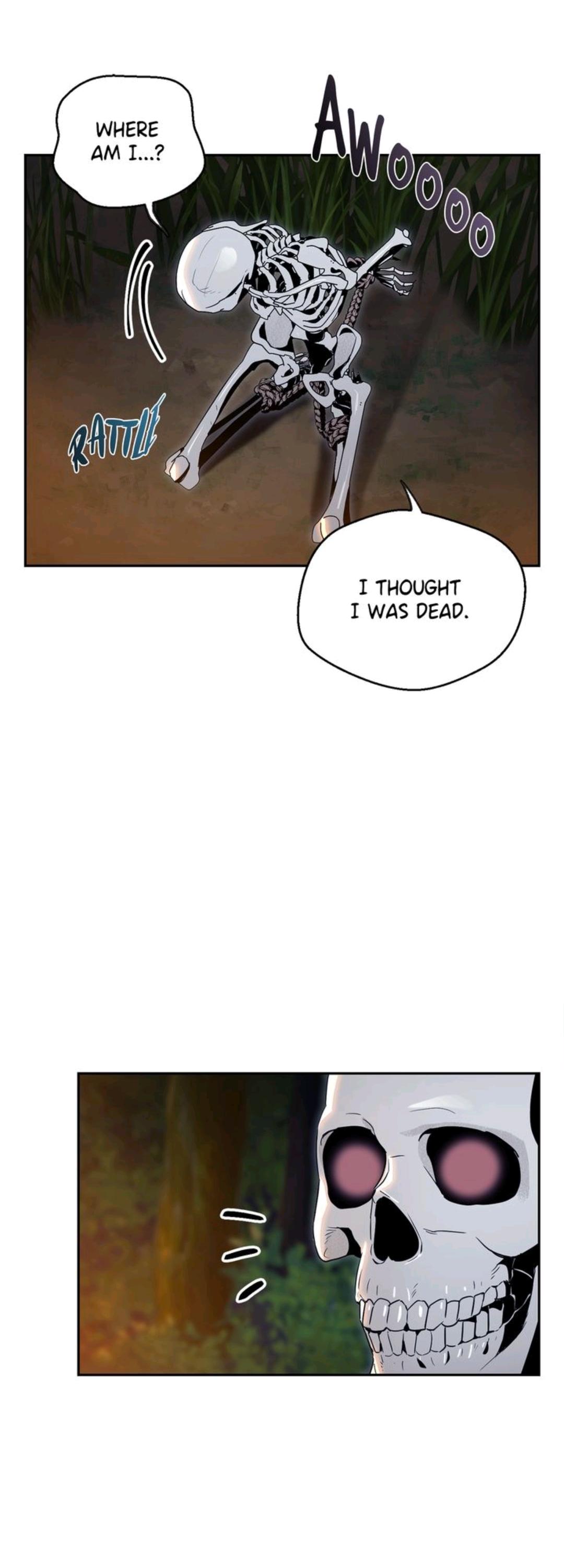 Read The Skeleton Soldier Failed to Defend the Dungeon EN Manga Online