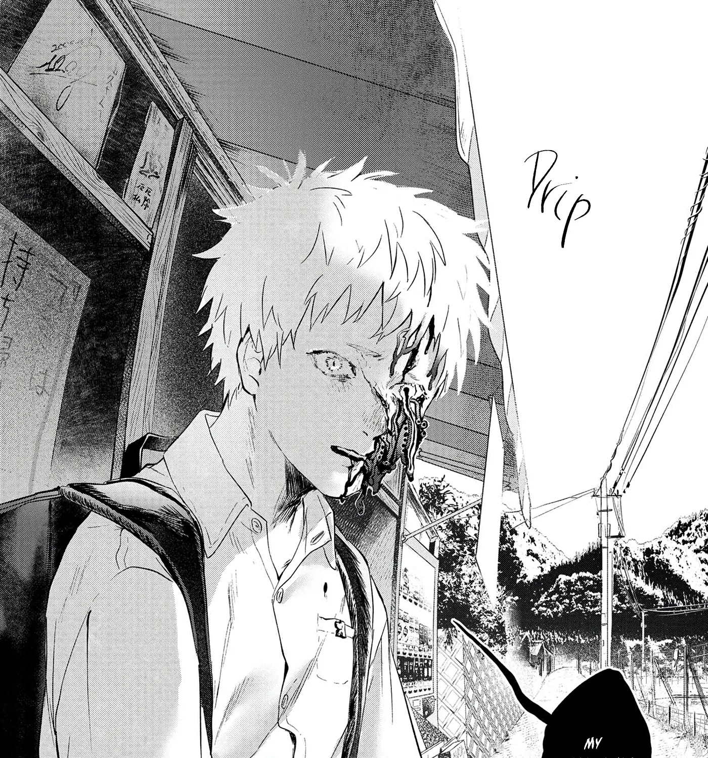 Read The Summer Hikaru Died EN Manga Online