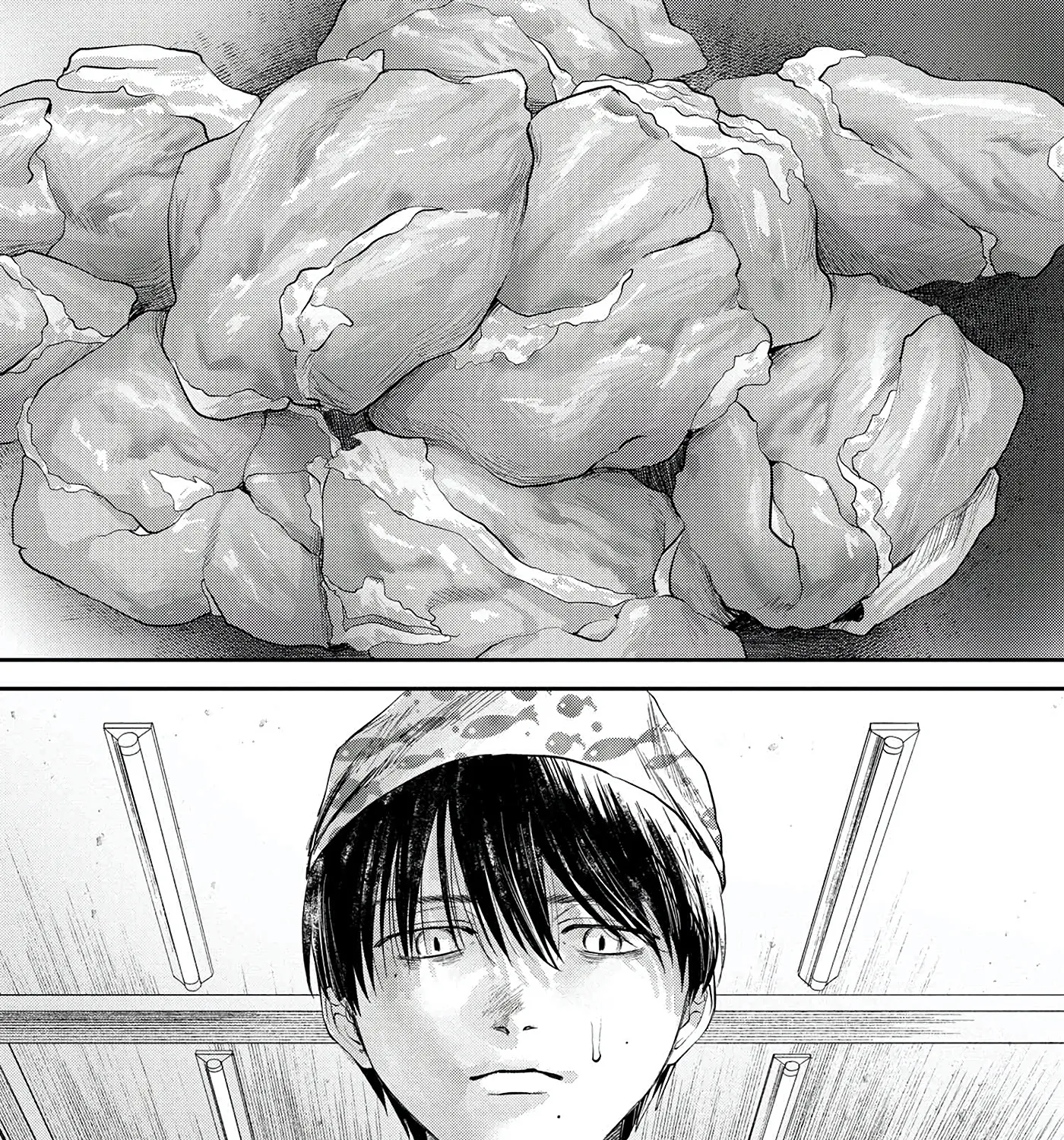 Read The Summer Hikaru Died EN Manga Online