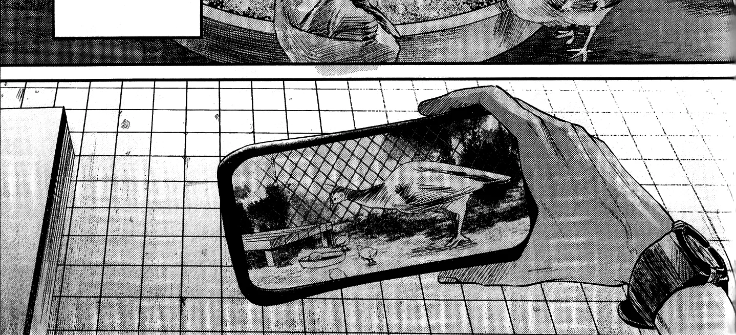 Read The Summer Hikaru Died EN Manga Online