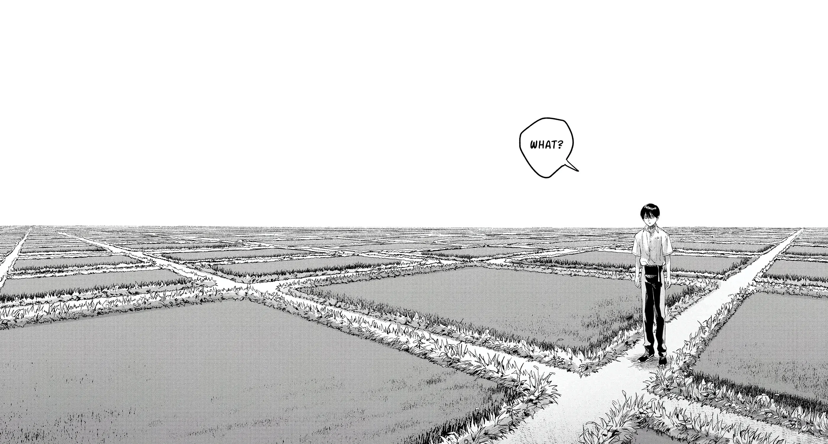 Read The Summer Hikaru Died EN Manga Online