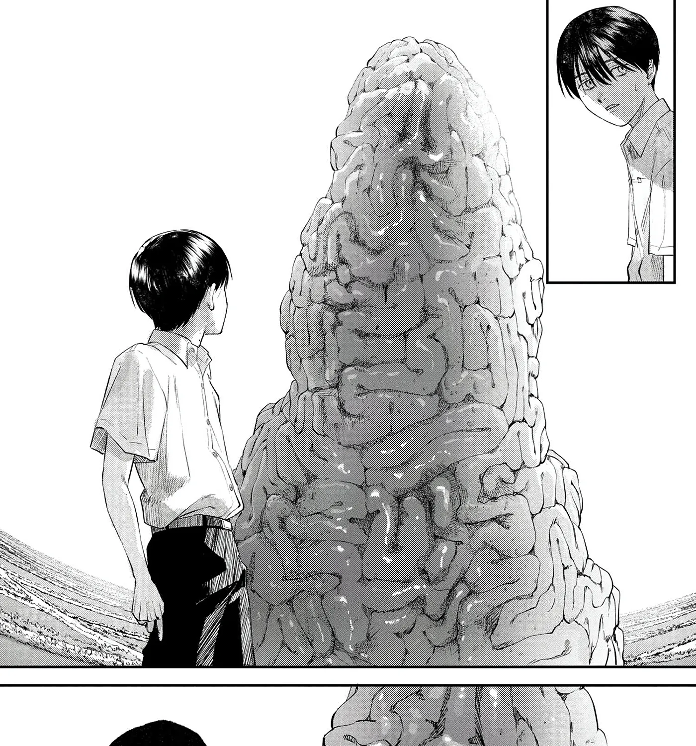 Read The Summer Hikaru Died EN Manga Online