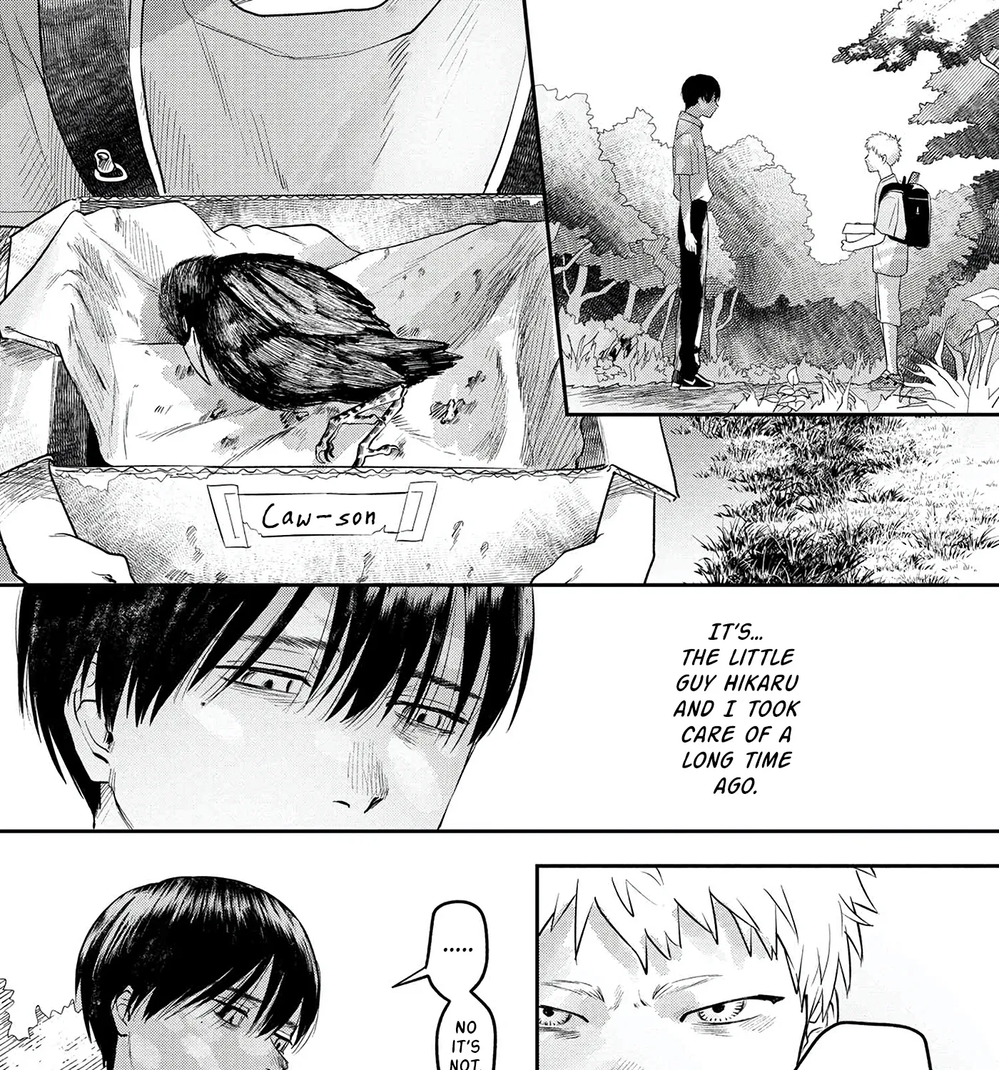Read The Summer Hikaru Died EN Manga Online