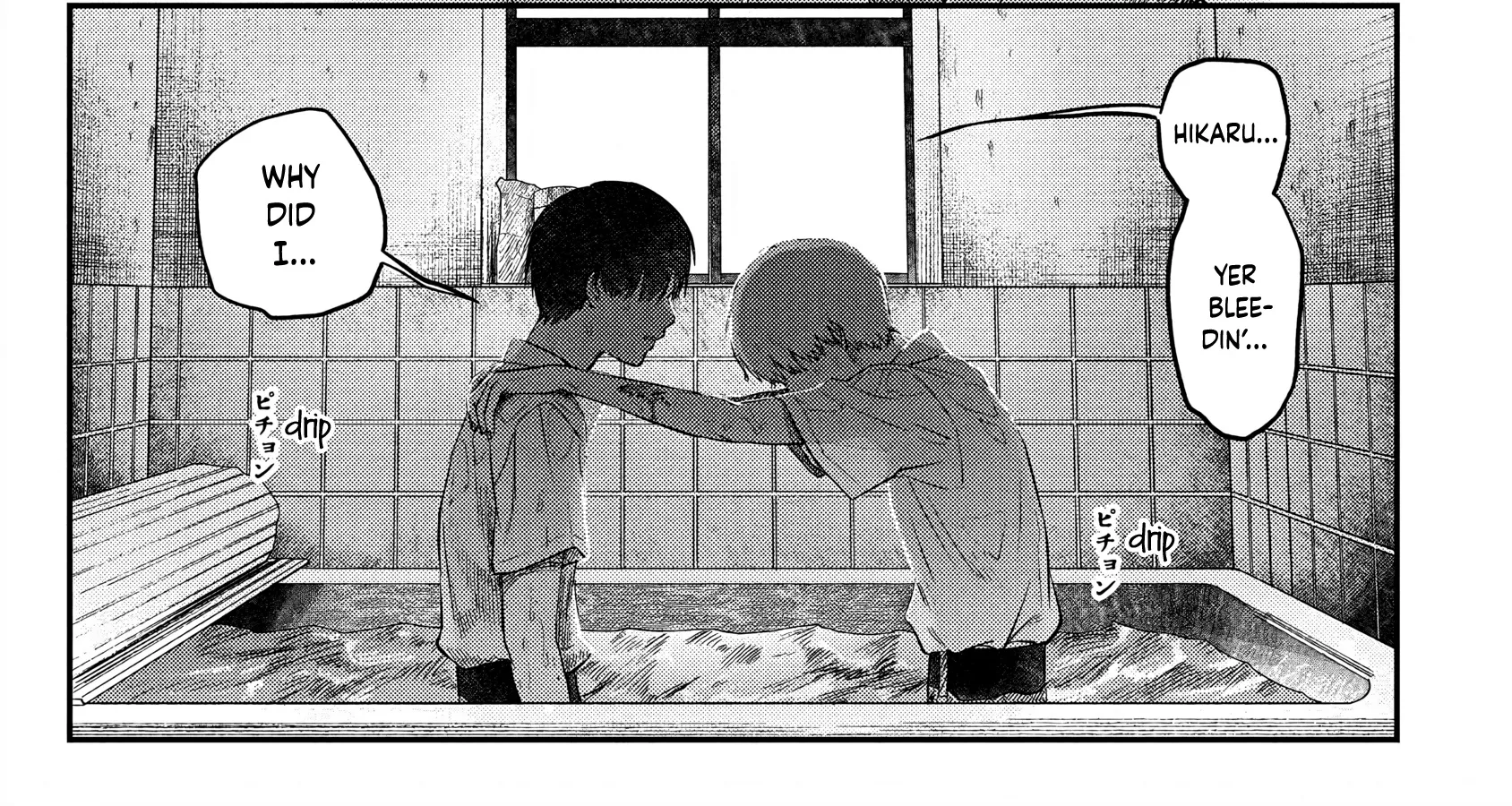 Read The Summer Hikaru Died EN Manga Online