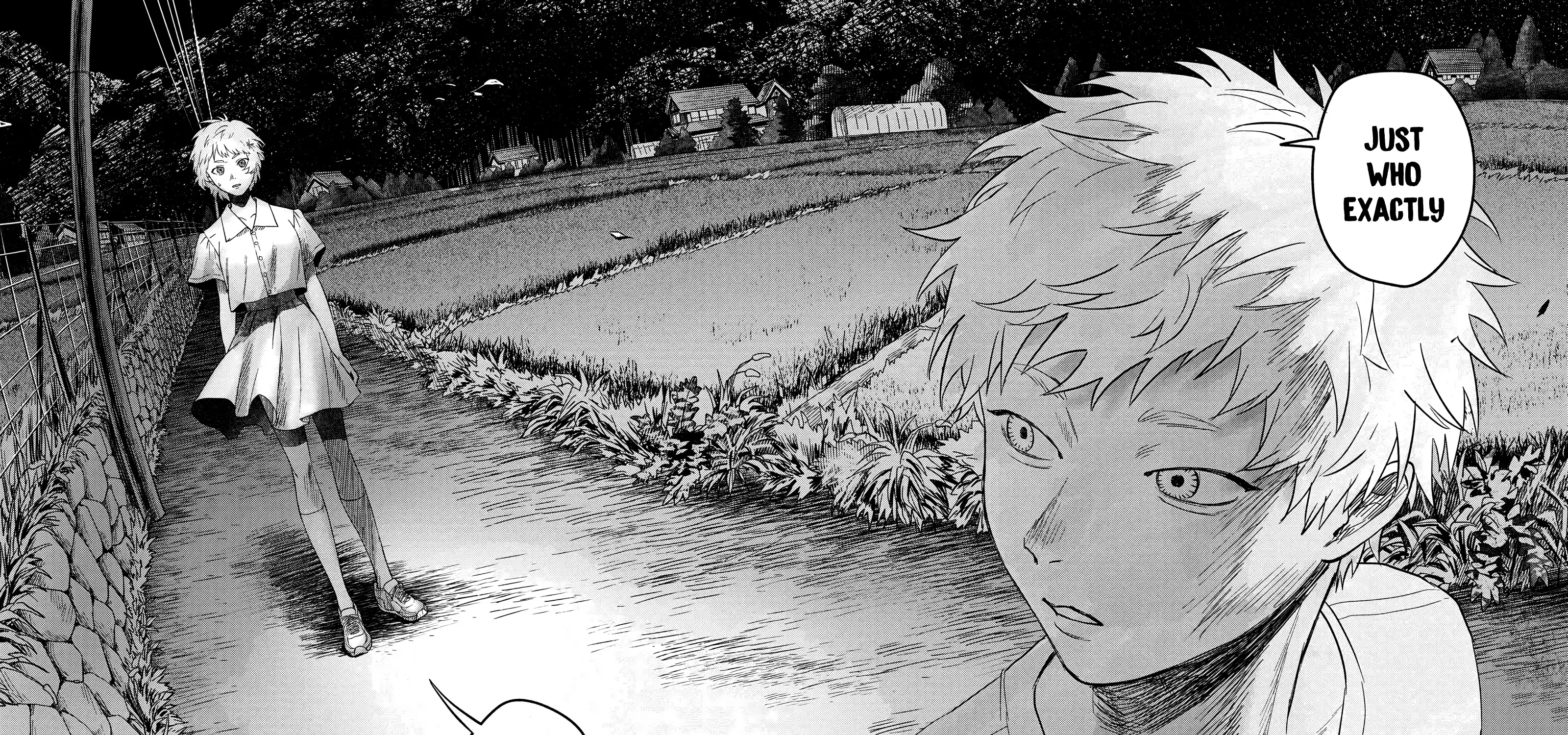 Read The Summer Hikaru Died EN Manga Online