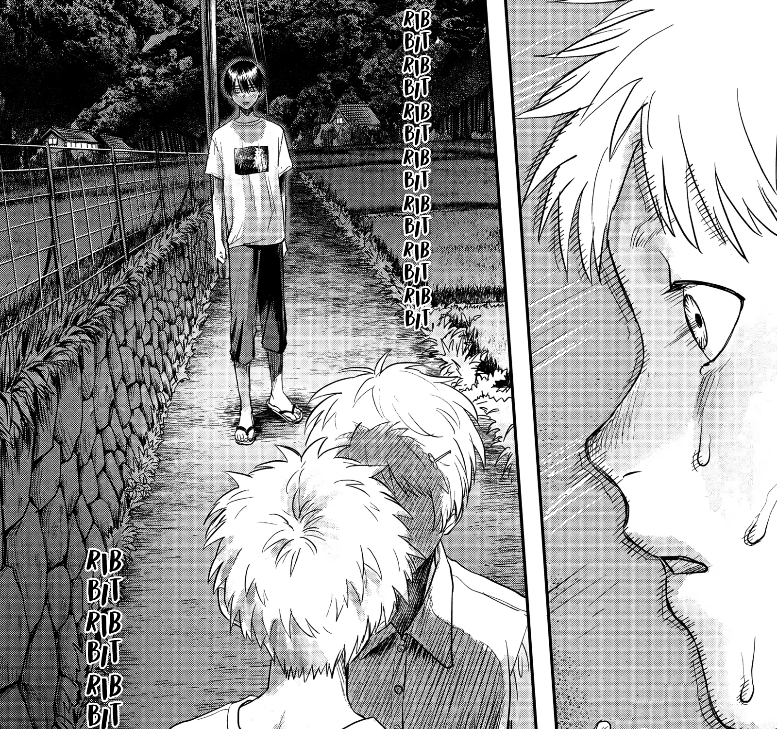 Read The Summer Hikaru Died EN Manga Online