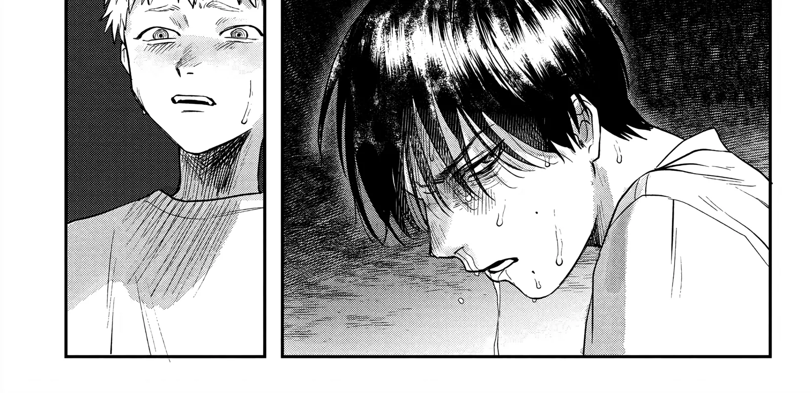 Read The Summer Hikaru Died EN Manga Online