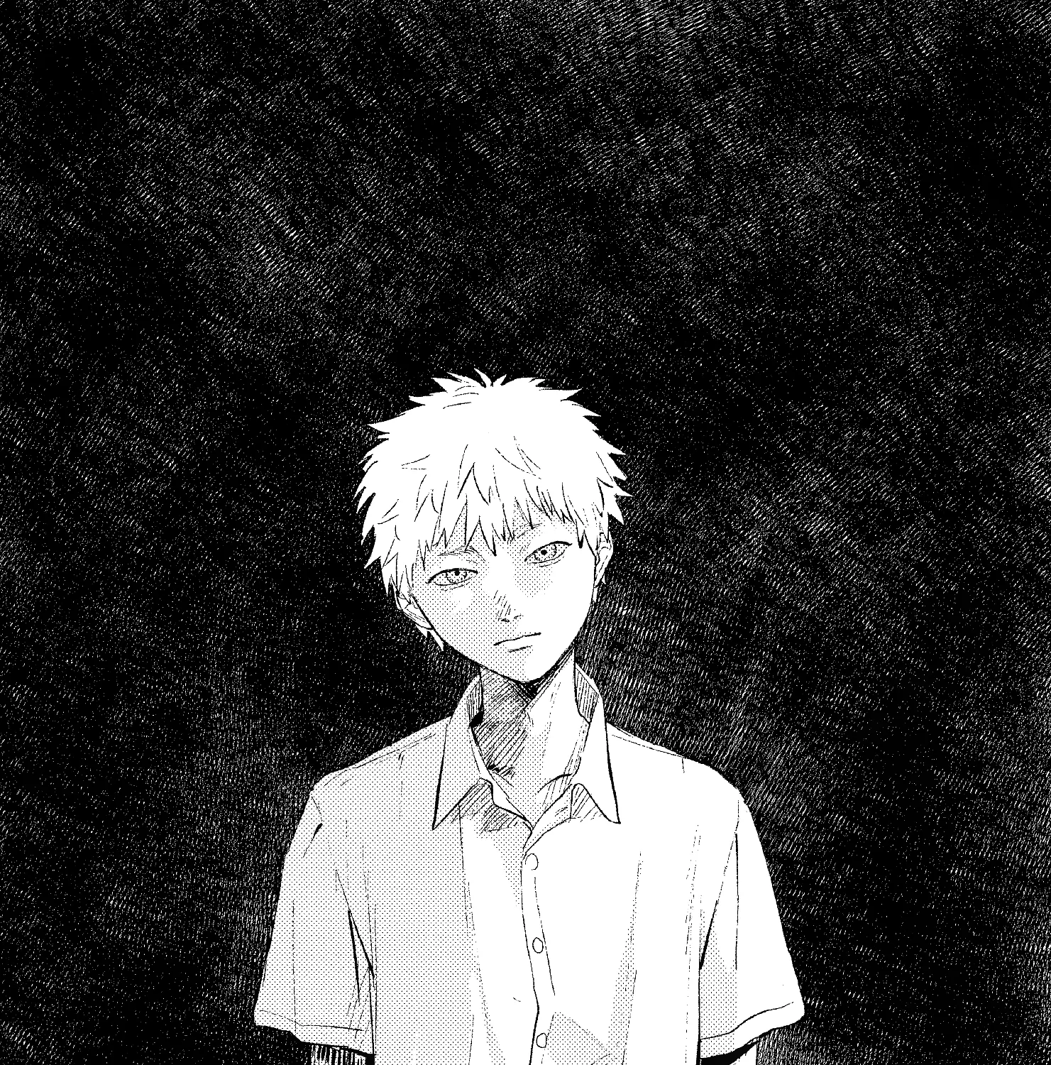Read The Summer Hikaru Died EN Manga Online