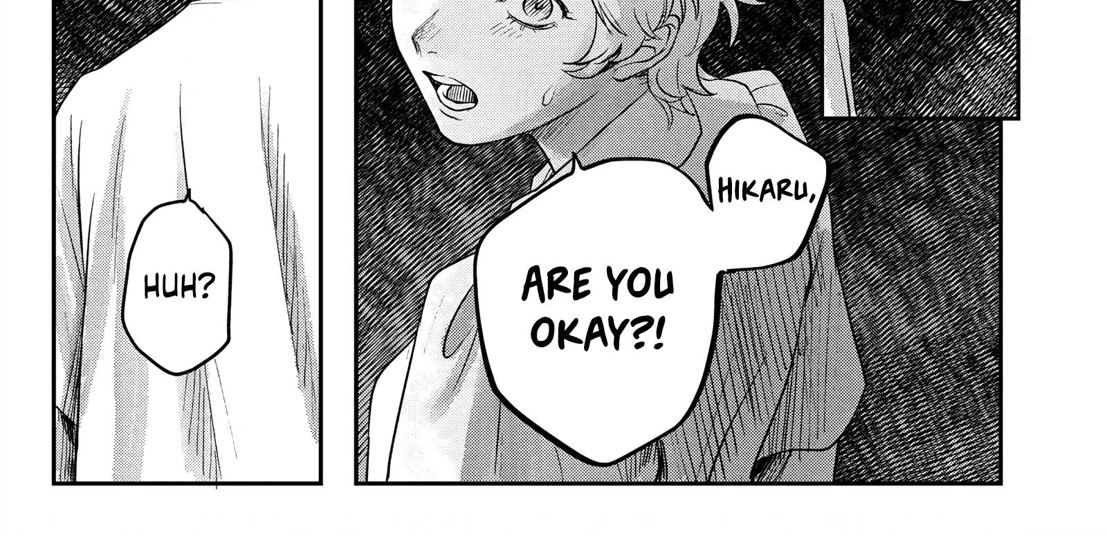 Read The Summer Hikaru Died EN Manga Online