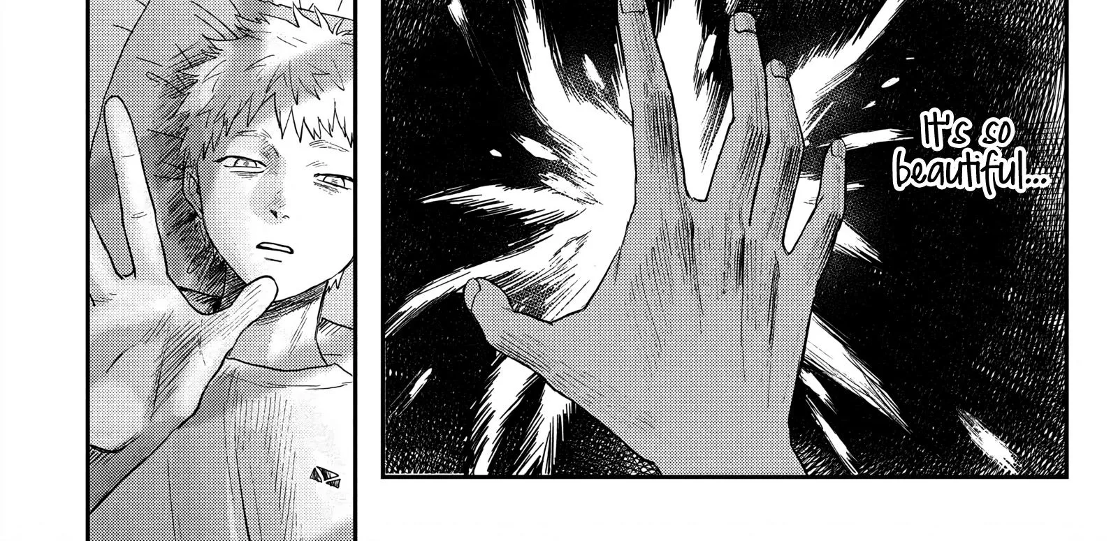 Read The Summer Hikaru Died EN Manga Online