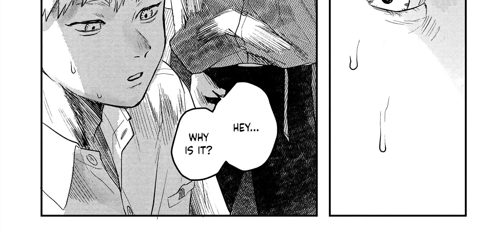 Read The Summer Hikaru Died EN Manga Online