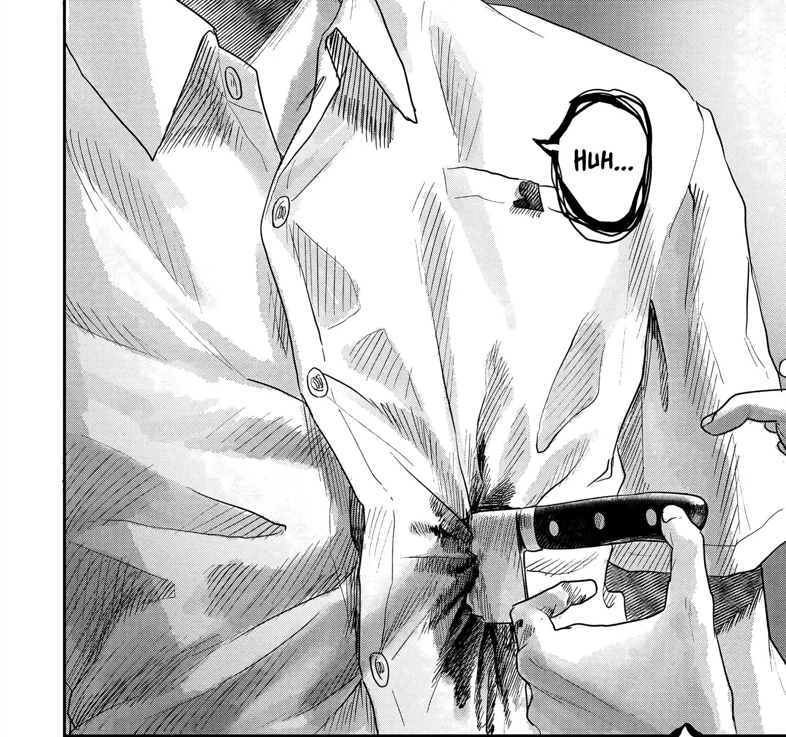 Read The Summer Hikaru Died EN Manga Online