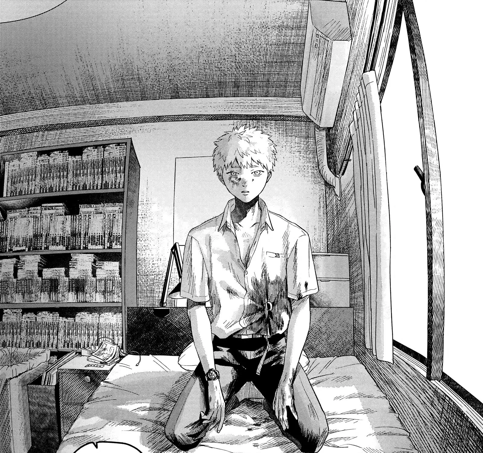 Read The Summer Hikaru Died EN Manga Online